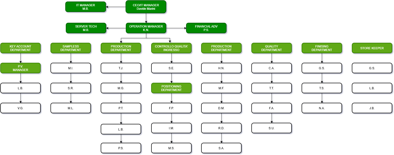 DVM Coating Organization Chart